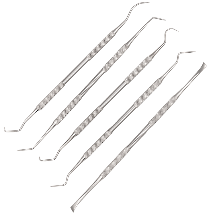 KleenBore - 5pce Stainless Steel Gun Pick Set